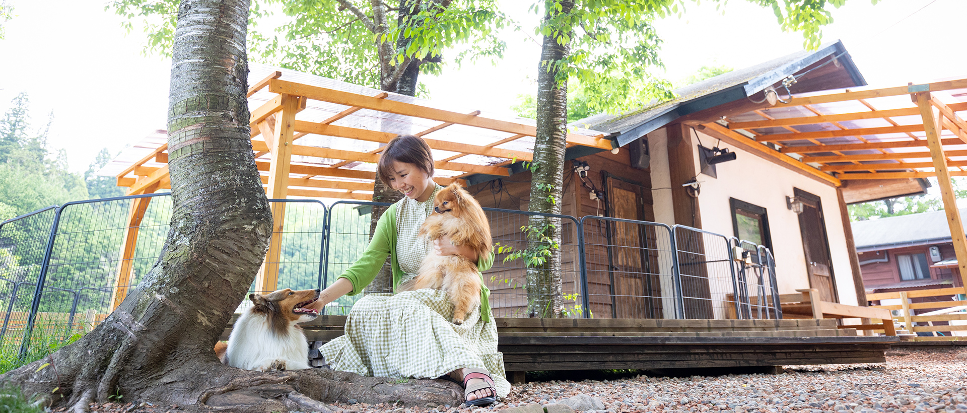 やまいぬ犬舎
